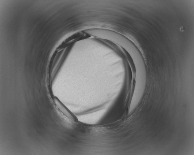 X0000080741136200701121930