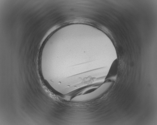 X0000080741138200701121930