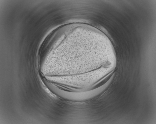 X0000080741140200701121930