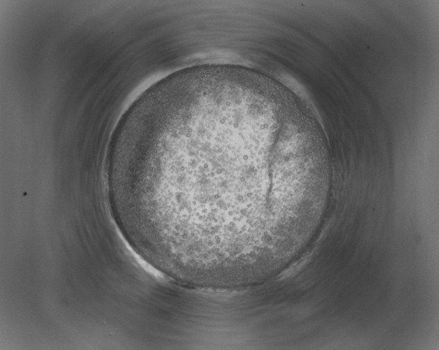 X0000080741141200701121930