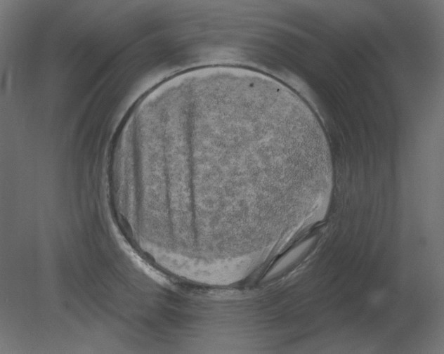 X0000080741142200701121930