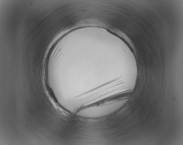 X0000080741144200701121930