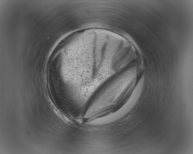 X0000080741148200701121930