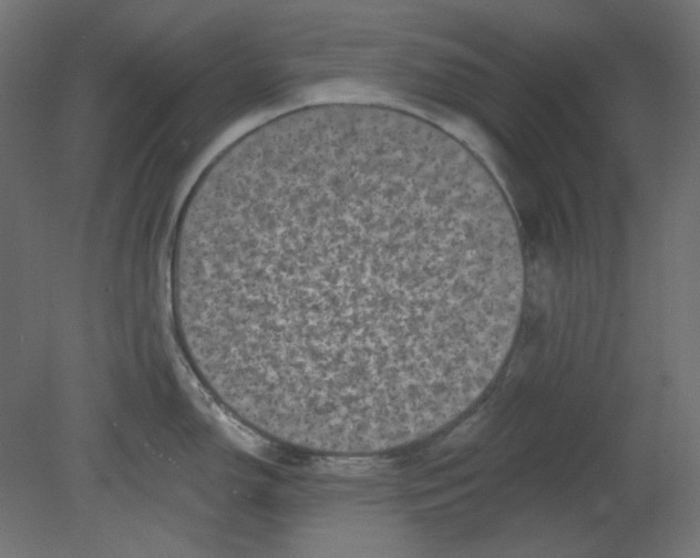 X0000080741150200701121930