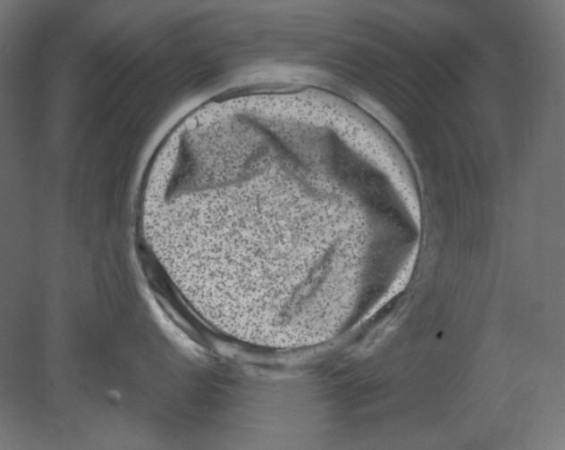 X0000080741152200701121930