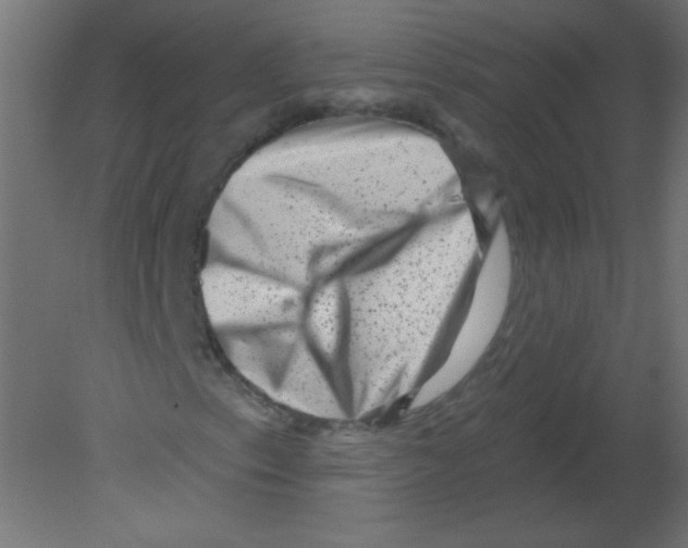 X0000080741153200701121929