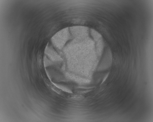 X0000080741154200701121929