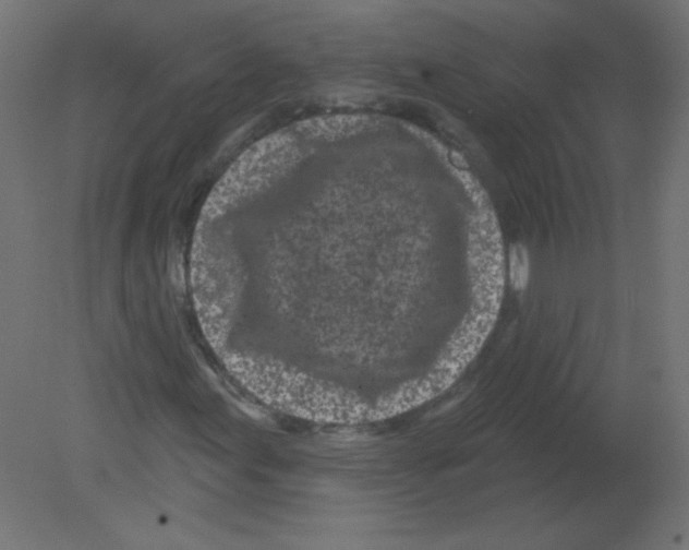 X0000080741155200701121929