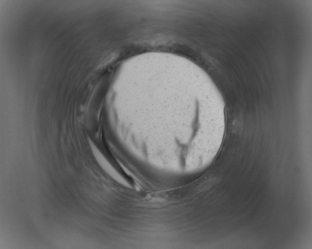 X0000080741156200701121929