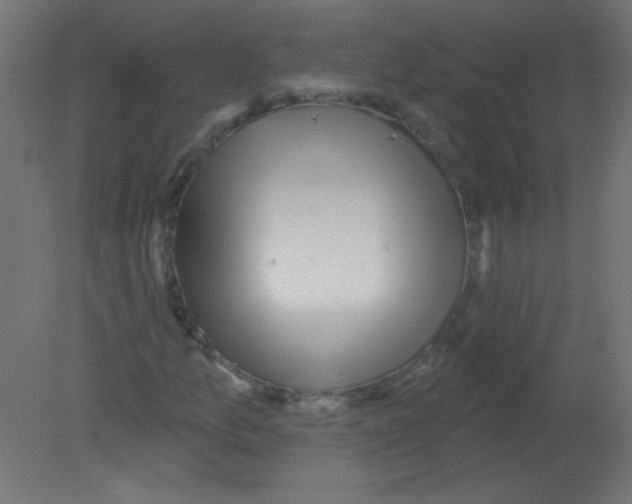 X0000080741157200701121929