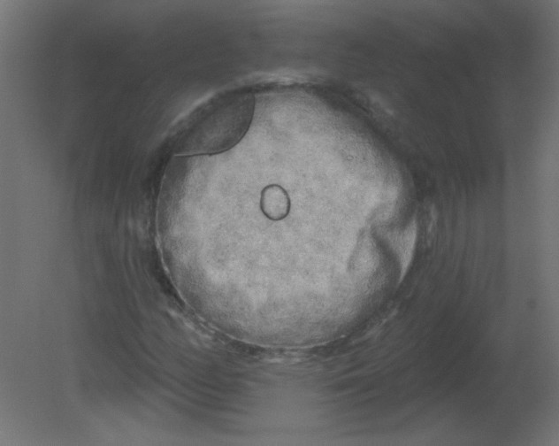 X0000080741158200701121929