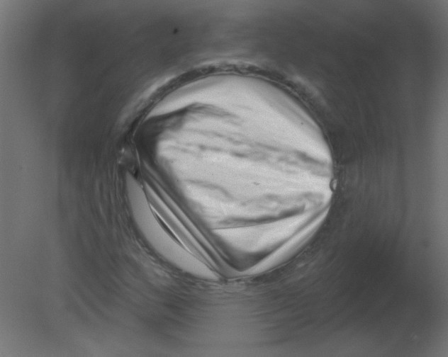 X0000080741159200701121929