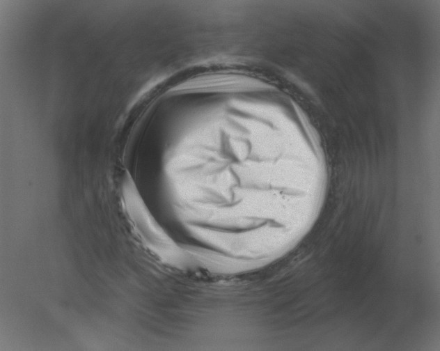 X0000080741160200701121929