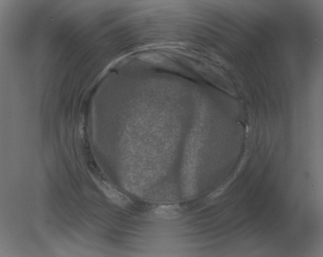 X0000080741161200701121929