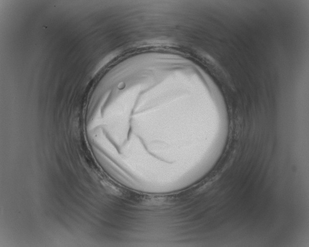 X0000080741162200701121929