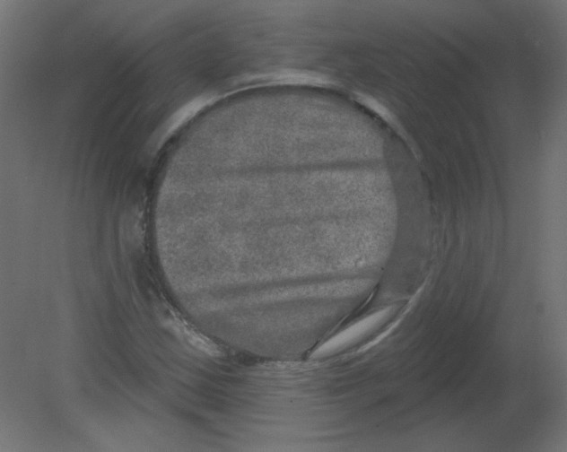 X0000080741163200701121929