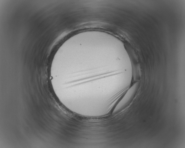 X0000080741164200701121929