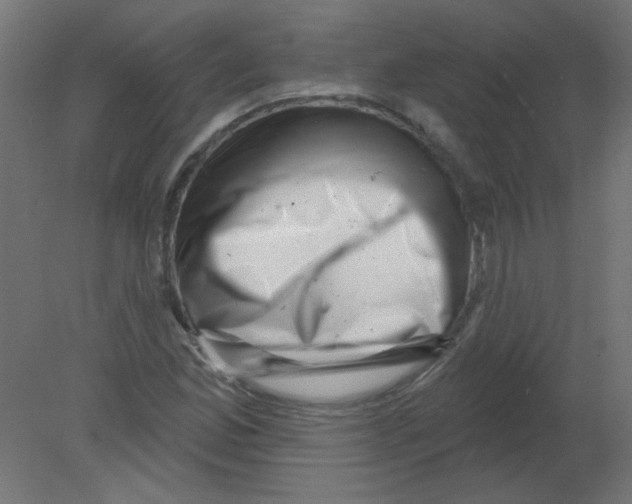 X0000080741165200701121929