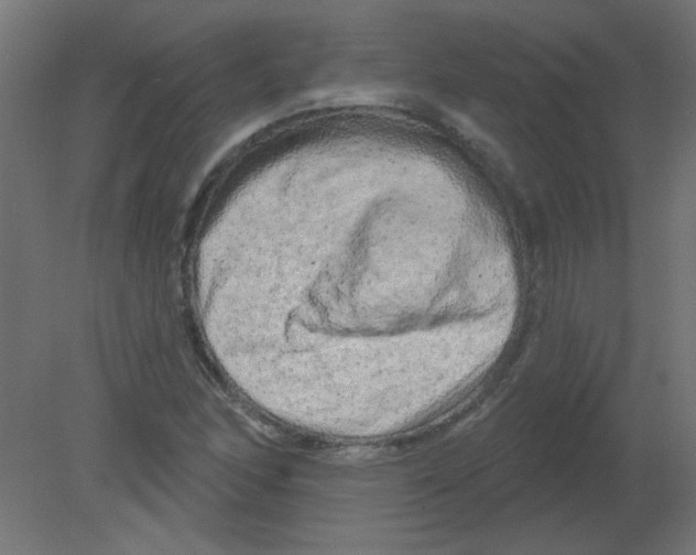 X0000080741166200701121929