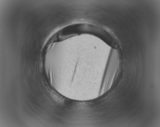 X0000080741167200701121929