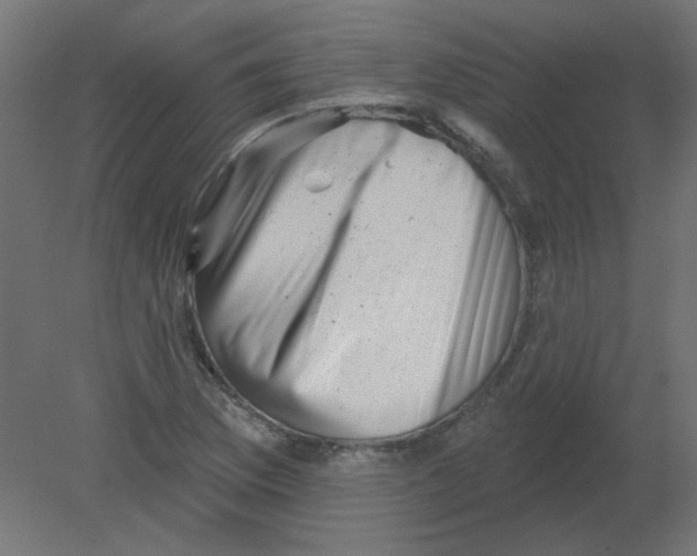 X0000080741169200701121929