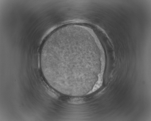 X0000080741171200701121929