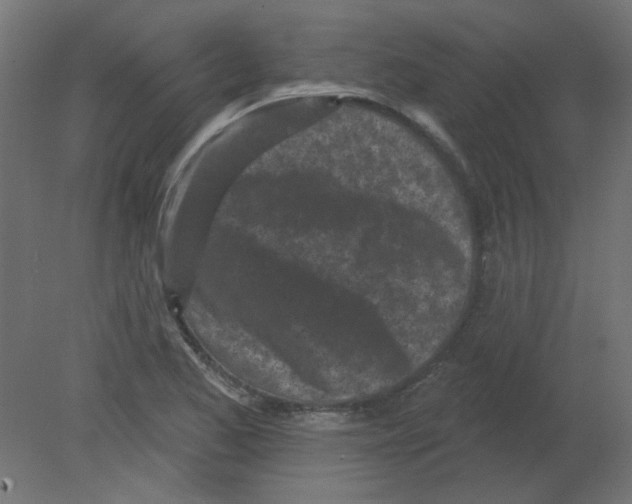 X0000080741173200701121929