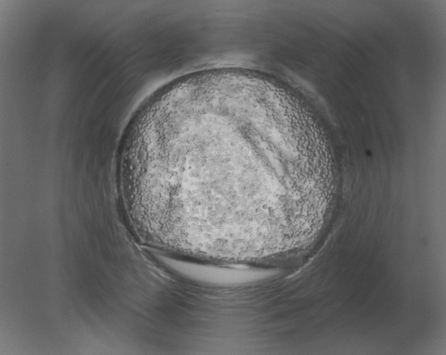 X0000080741174200701121929