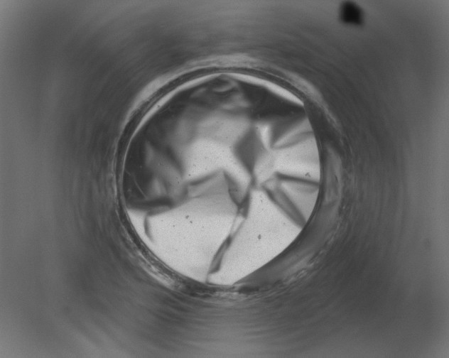 X0000080741176200701121929