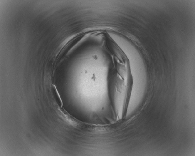 X0000080741177200701121929