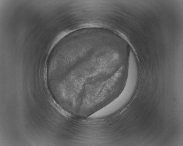 X0000080741179200701121929