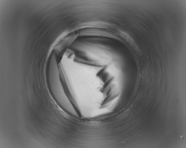 X0000080741180200701121929