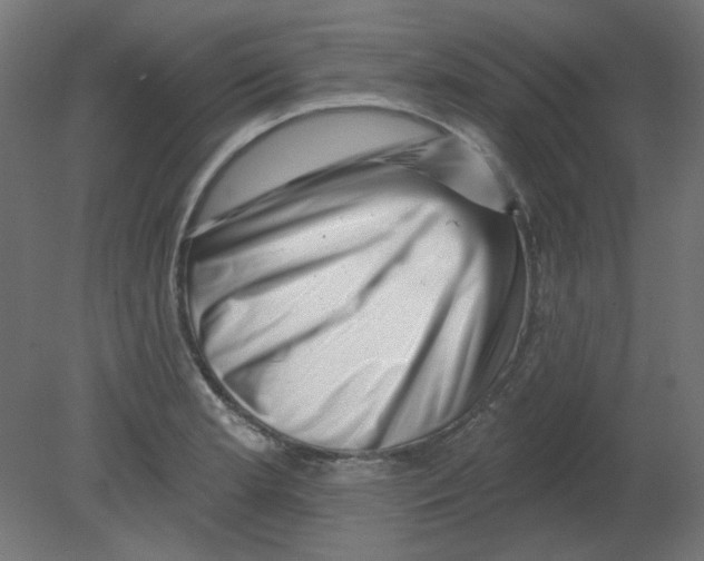 X0000080741181200701121929