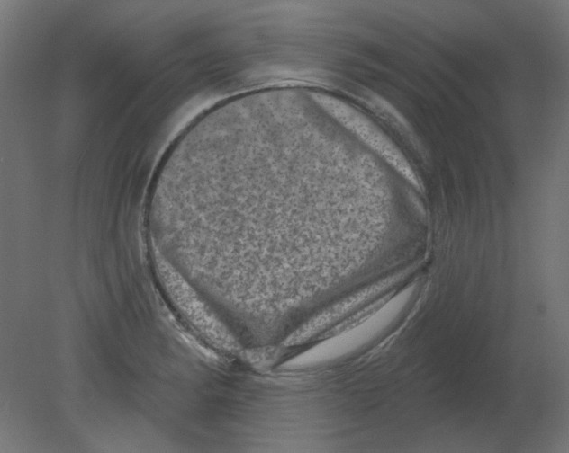 X0000080741182200701121929