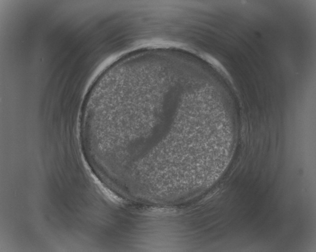 X0000080741183200701121929