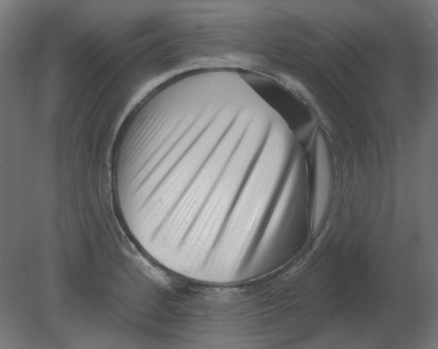 X0000080741184200701121929