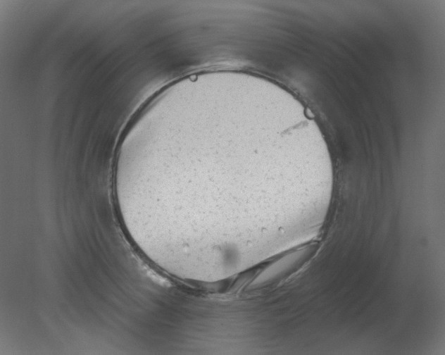 X0000080741186200701121929