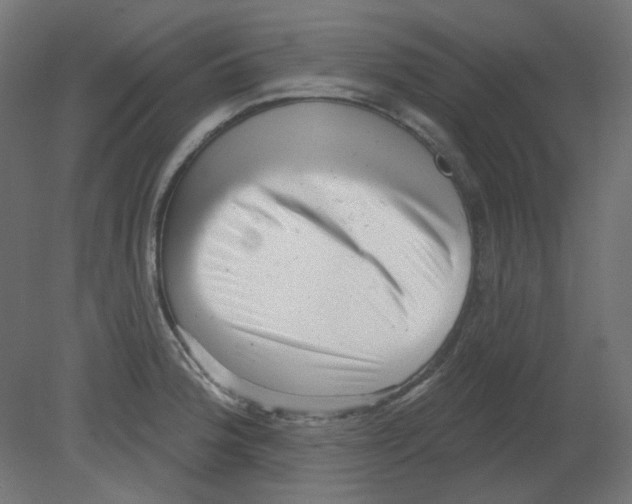 X0000080741188200701121929