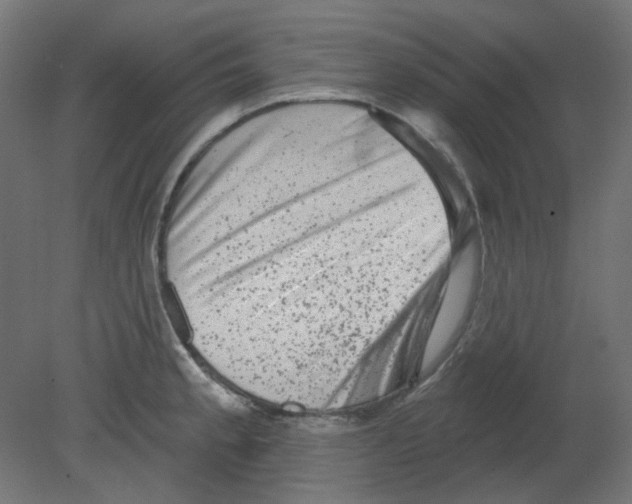 X0000080741189200701121929