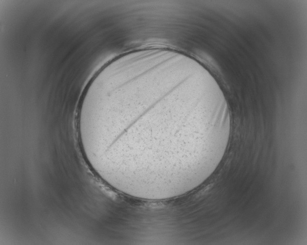 X0000080741190200701121928