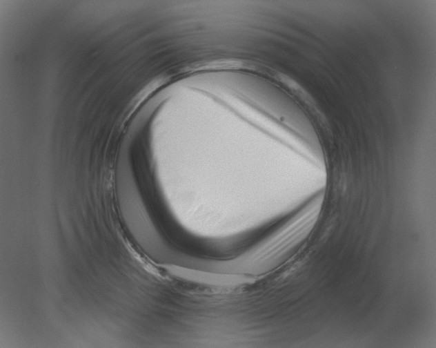 X0000080741193200701121928