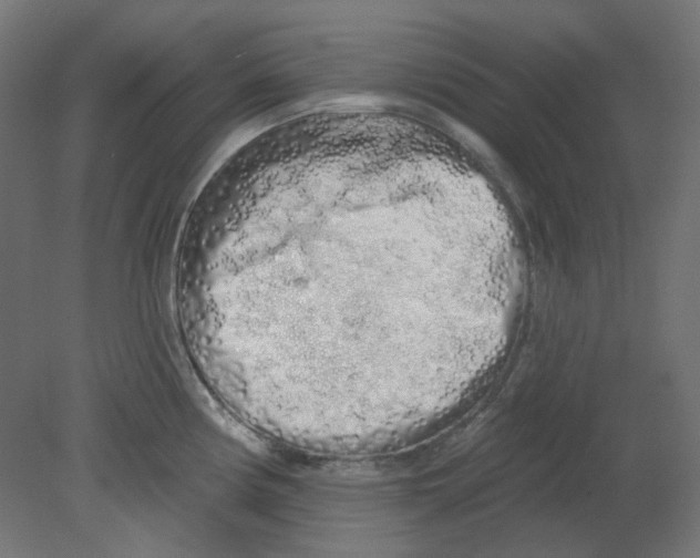 X0000080741194200701121928