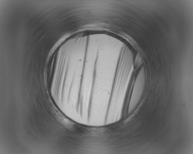 X0000080741196200701121928