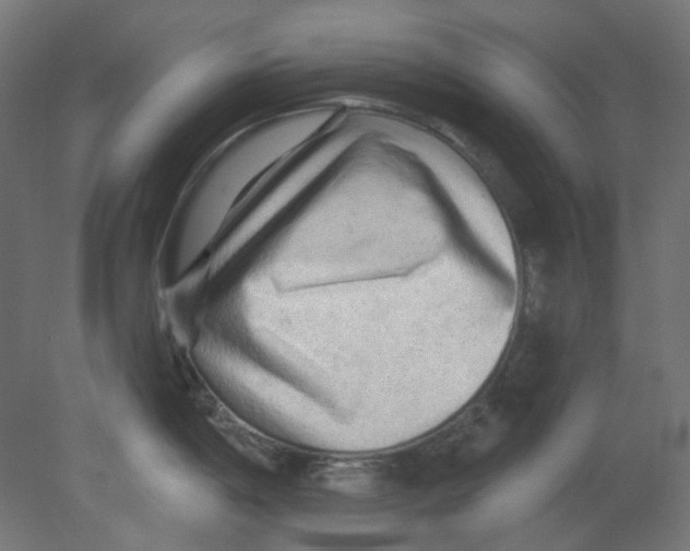 X0000080741198200701121928