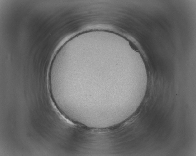 X0000080741199200701121928