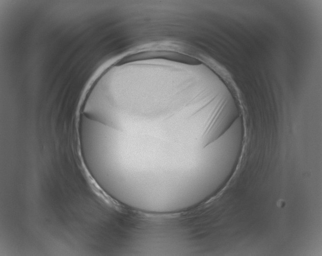 X0000080741200200701121928