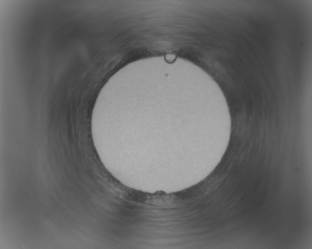 X0000080741201200701121928