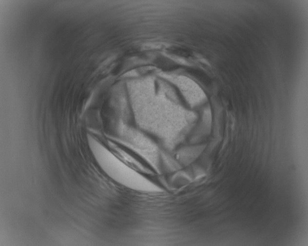 X0000080741202200701121928