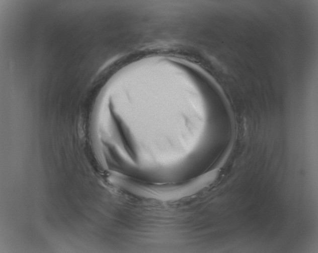 X0000080741206200701121928