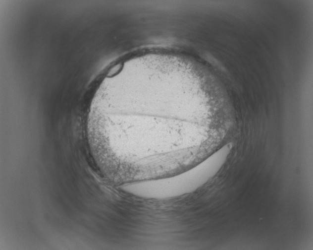 X0000080741208200701121928